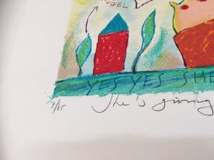 Wouter Stips - She's giving me wings kopen? Bied vanaf 100!