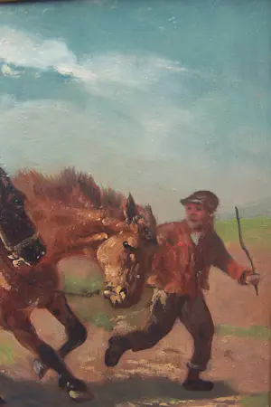 Henry Schouten - Boer met paarden kopen? Bied vanaf 350!