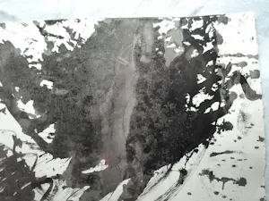 Anton Heyboer - Acrylverf , Abstracte voorstelling Oervogel / Kip – 79 x 107 cm. kopen? Bied vanaf 150!