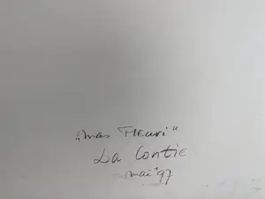 Piet Snoeren - Mas Fleuri "La Contie" kopen? Bied vanaf 20!
