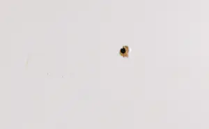 Len Ong - Zeefdruk op papier op paneel, Oogsttijd in het nieuwe land Noord-Oostpolder kopen? Bied vanaf 1!