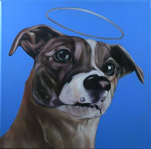 Jan Bollaert - Acryl op doek, Holy doggy kopen? Bied vanaf 1!