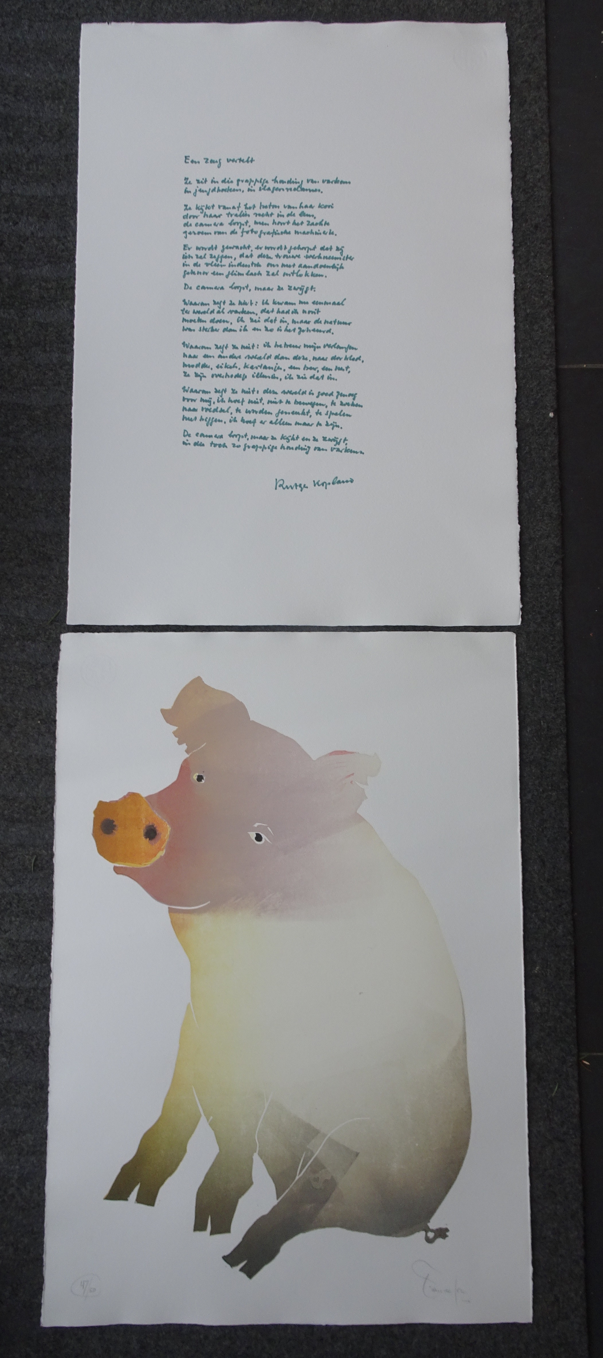 Frans de Jong - Een zeug vertelt kopen? Bied vanaf 1!