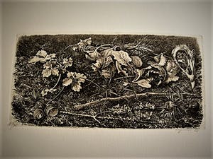 Dirk van Gelder - Meester graficus - HERFST - spin, denneappels etc- oplage 75 - potloodgesignrd kopen? Bied vanaf 52!