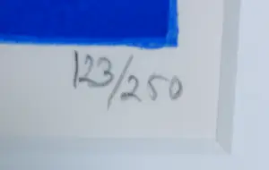 Susan Schildkamp - Zeefdruk, Schaduw/Licht - Ingelijst kopen? Bied vanaf 20!