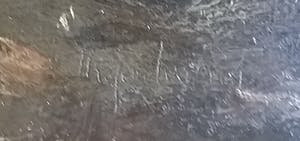 Theo Goedvriend - Theo Goedvriend - Paddestoelen in het bos - kopen? Bied vanaf 250!