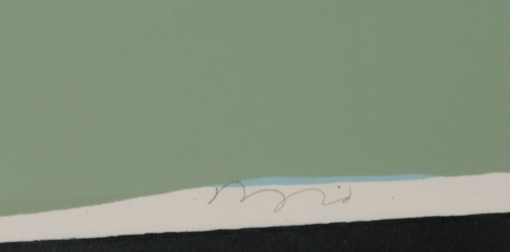 Darryl Hughto - Darryl Hughto: Zeefdruk, Snow blow - Ingelijst (Groot!) kopen? Bied vanaf 60!