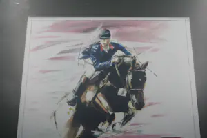 Niet of onleesbaar gesigneerd - Gelimiteerd Aquarel Sport Spring Paard kopen? Bied vanaf 1!