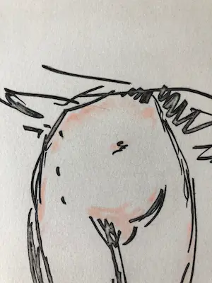 Kees van Dongen - Gravure - Dame - 1966 kopen? Bied vanaf 495!