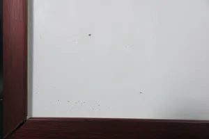 Elfriede Otto - Kleurenets, Vogelsafari I - Ingelijst kopen? Bied vanaf 1!