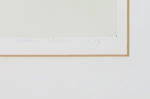 Lidwien Chorus - Litho, Vlucht Brandganzen II kopen? Bied vanaf 1!