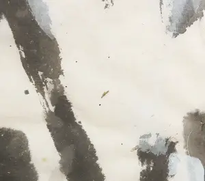Geertjan van Oostende - Gouache op geschept papier, Buizerd - Ingelijst (Groot) kopen? Bied vanaf 50!