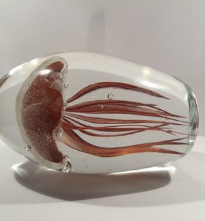 Niet of onleesbaar gesigneerd - 3D jellyfish Presse-papier Glow in the Dark kopen? Bied vanaf 1!