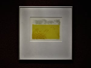 Niet of onleesbaar gesigneerd - gesigneerde UNICA ( 5 exemplaren) Ets "Volledig Landschap e.d." kopen? Bied vanaf 1!