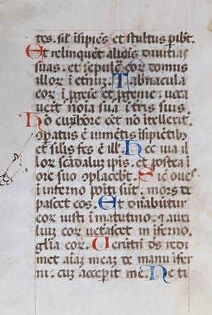 Curiosa - Geïllumineerde tekst op perkament uit een getijdenboek kopen? Bied vanaf 50!