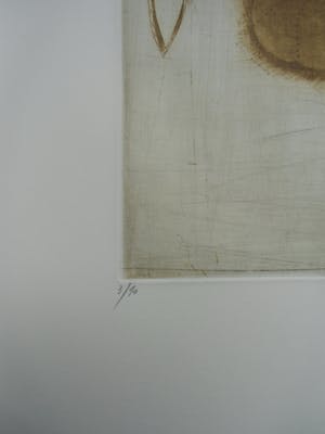 Brigitte Coudrain - PLANTAARDIG STILLEVEN /// KLEURETS VAN BRIGITTE COUDRAIN kopen? Bied vanaf 50!