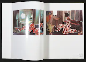 Marlene Dumas - Nobuyoshi Araki, Tracy Emin e.a. - Visionaire 46 UNCENSORED by Mario Testino kopen? Bied vanaf 250!