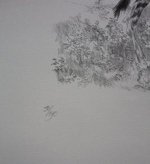 Peter Vos - litho: De ontdekking van de giraffe - 1969 kopen? Bied vanaf 150!