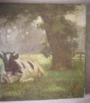 Evert Rabbers - Koeien in de wei. kopen? Bied vanaf 139!