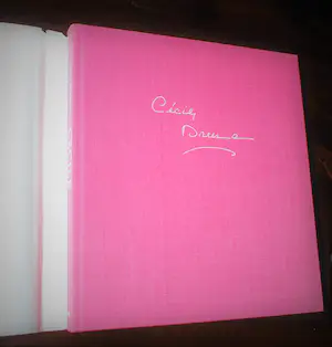 Cecile Dreesmann - Boek met handgeschreven uitnodigingskaart & diversen kopen? Bied vanaf 30!