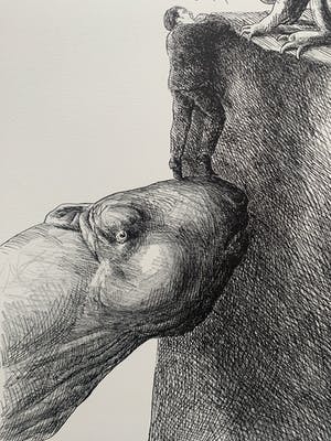 Roland Topor - litho - 'Aidé' - 1979 (Prent 190 - Serie 11A) kopen? Bied vanaf 100!