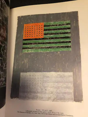 Jasper Johns - A print retrospective kopen? Bied vanaf 37!