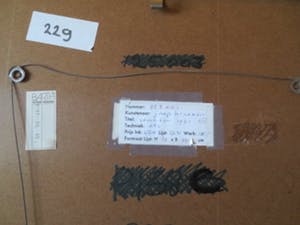 Jaap Kraanen - Vruchten 1961 kopen? Bied vanaf 60!