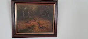 Toon Vostermans - Fazanten in de Peel kopen? Bied vanaf 60!