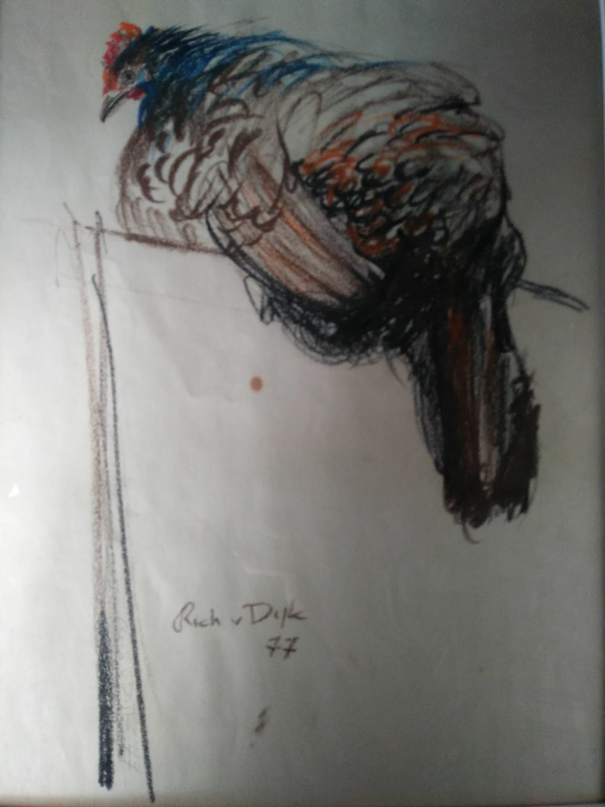 Richard van Dijk - Pasteltekening van een kip verkocht voor € 50!