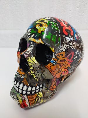 Hannes D'Haese - Skull kopen? Bied vanaf 75!