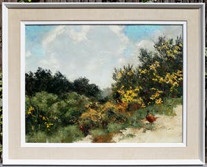 Jo Schrijnder - Fazant in duinlandschap, olieverf op doek (netjes ingelijst, groot) kopen? Bied vanaf 1100!