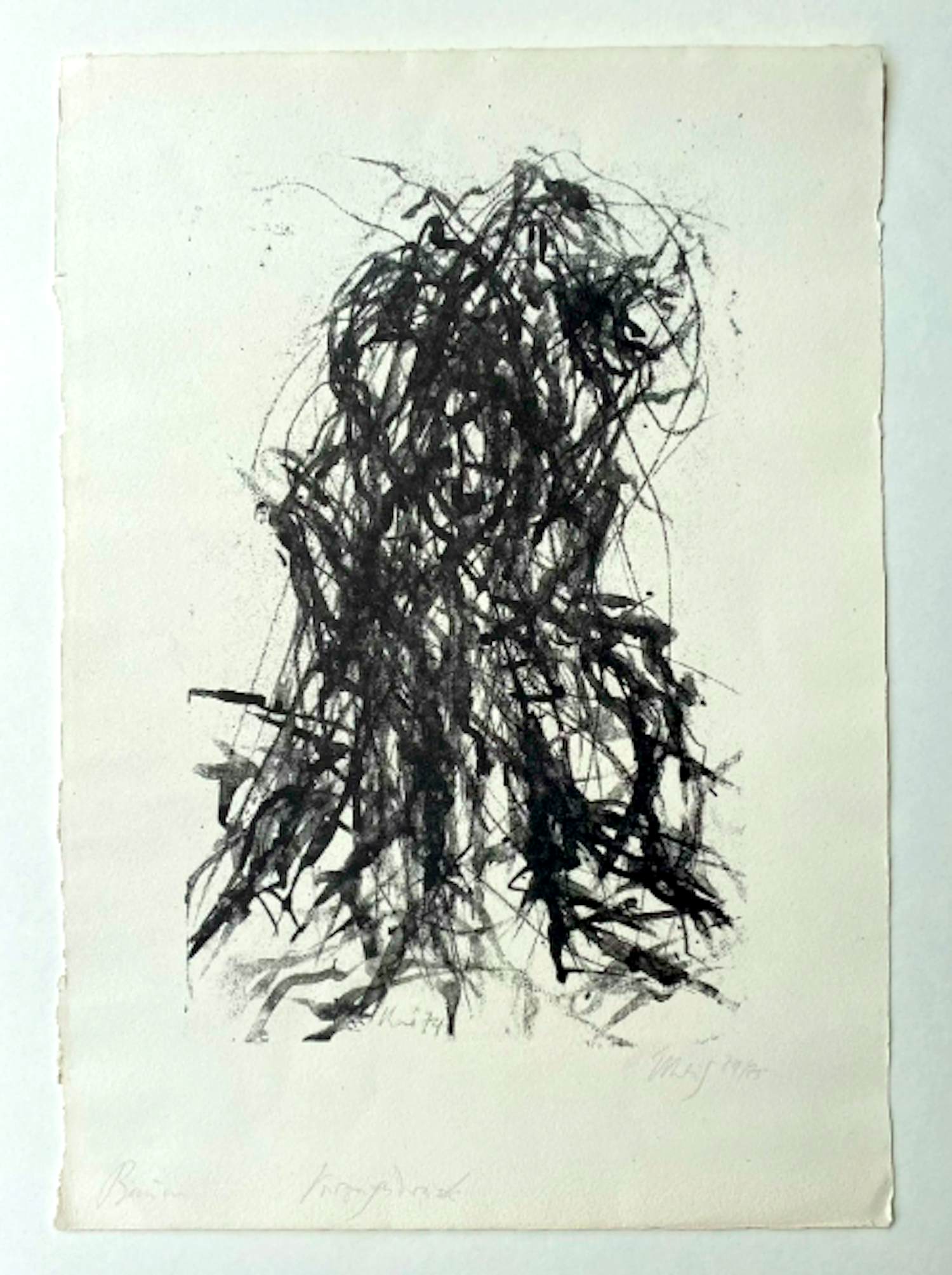 Max Uhlig - Baum, Lithografie, Vorzugsdruck mit Widmung kopen? Bied vanaf 85!