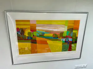 Ton Schulten - Twente in zonlicht - Nr. 121 - ingelijst kopen? Bied vanaf 600!