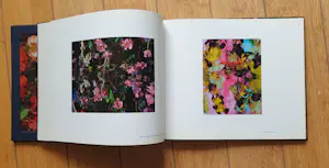 Margriet Smulders - "Get Drunk" - Foto Cibachrome - 2006 - Inclusief gesigneerd Boek - 13/77 kopen? Bied vanaf 350!