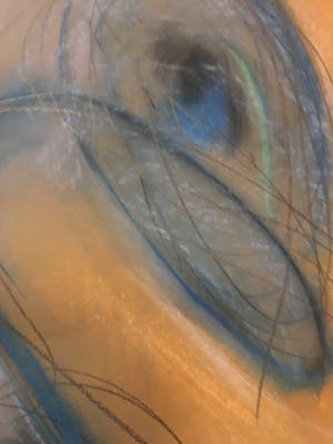 Jos Kruit - Cirkels kopen? Bied vanaf 20!