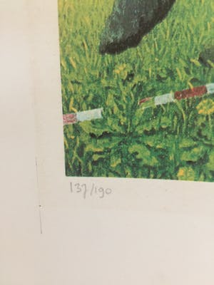 Dolf Zwerver - Geen titl kopen? Bied vanaf 65!