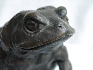 Niet of onleesbaar gesigneerd - Bronzen beeld , Kikker / Pad kopen? Bied vanaf 10!