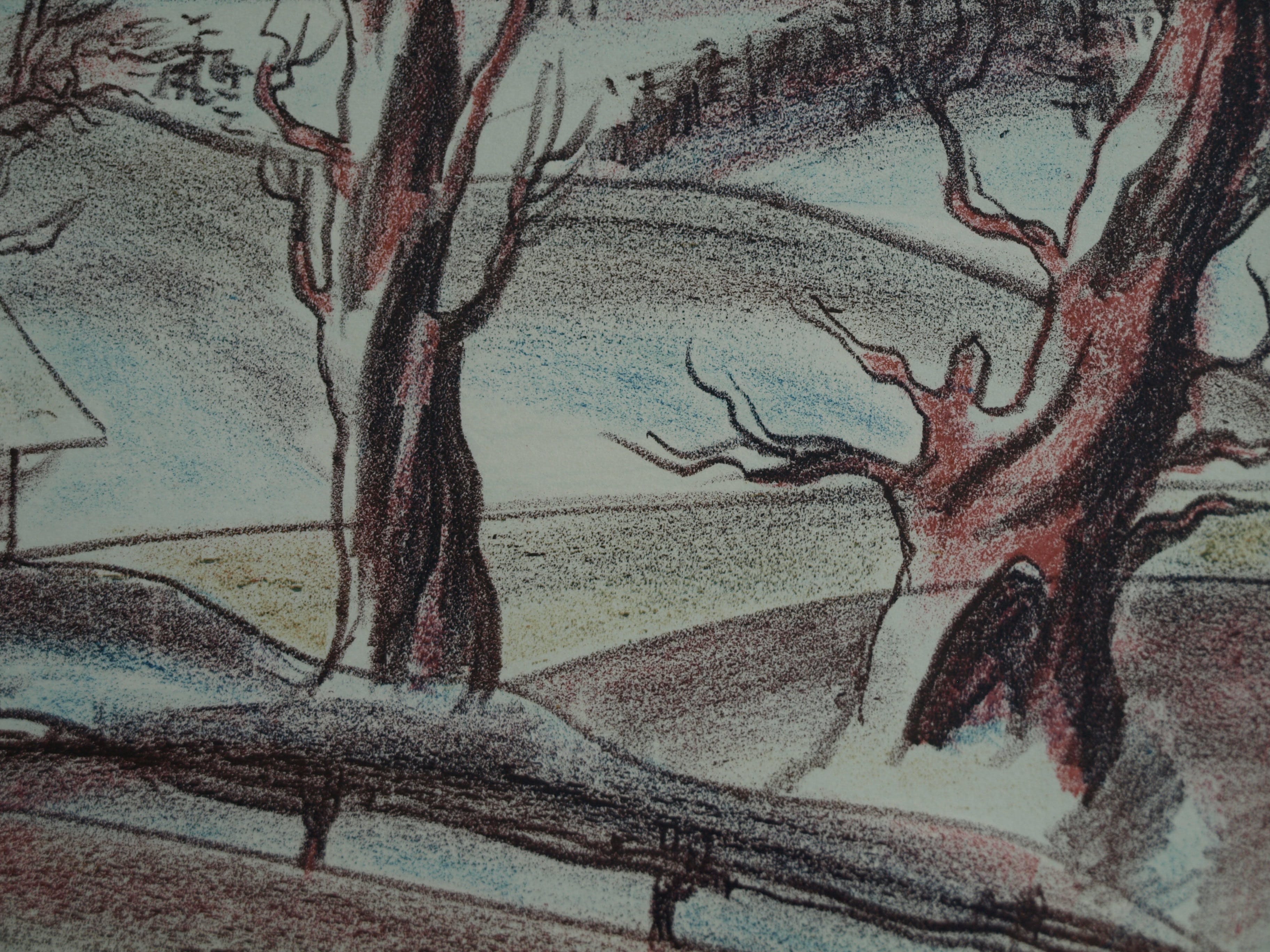 Luděk Majer - Litho, Winterlandschap 1 – gesigneerd & ingelijst – nr 41/50 - 1987 kopen? Bied vanaf 1!