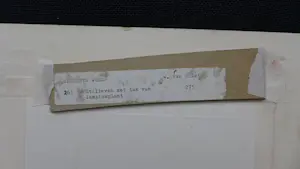 Wout van Vliet - Stilleven met tak van lampionplant - Gesigneerd - 2 kleurenets kopen? Bied vanaf 35!