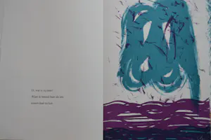 Hugo Claus - "FUGA" Portfolio met acht haiku's en litho's. Compleet. kopen? Bied vanaf 300!