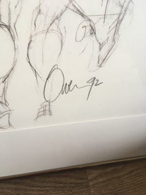 Ortho Owen - Kleurenlitho ‘Spike’ kopen? Bied vanaf 40!