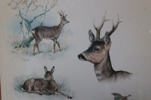 George Frederic Rotig - Cerf avec chevreuil et faisan kopen? Bied vanaf 50!