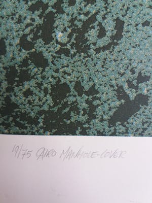 Paul Baars - Airo Manhole-cover kopen? Bied vanaf 22!