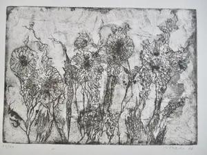 Niet of onleesbaar gesigneerd - 7 etsen div. kunstenaars kopen? Bied vanaf 1!