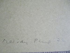 Marian Plug - Zeefdruk "Zo wordt het dag" kopen? Bied vanaf 25!