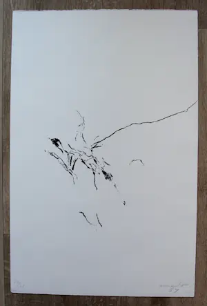 Armando - litho: Het Plechtige, Het Donkere - 1984 kopen? Bied vanaf 195!