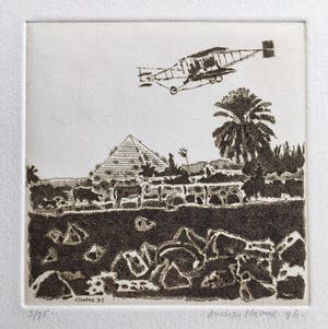 Simon Koene - Vlucht boven Egypte kopen? Bied vanaf 15!