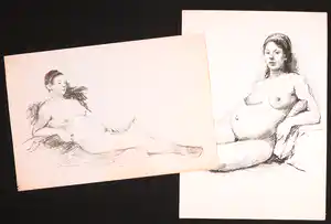 Aat Veldhoen - Lot van twee rotaprints verkocht voor € 1!