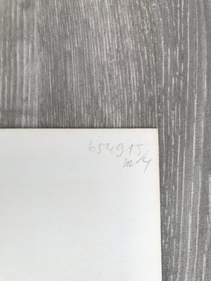 Pierre Alechinsky - Les infeuilletables kopen? Bied vanaf 500!