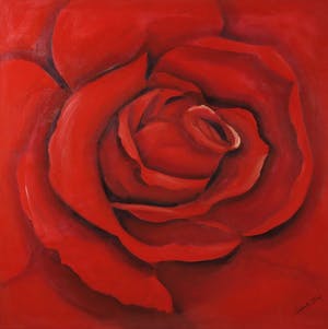 Gabriela Stroe - Olieverf op doek, Roos IV (Groot) kopen? Bied vanaf 1!